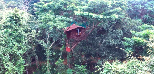 Varanashi-farm-treehouse